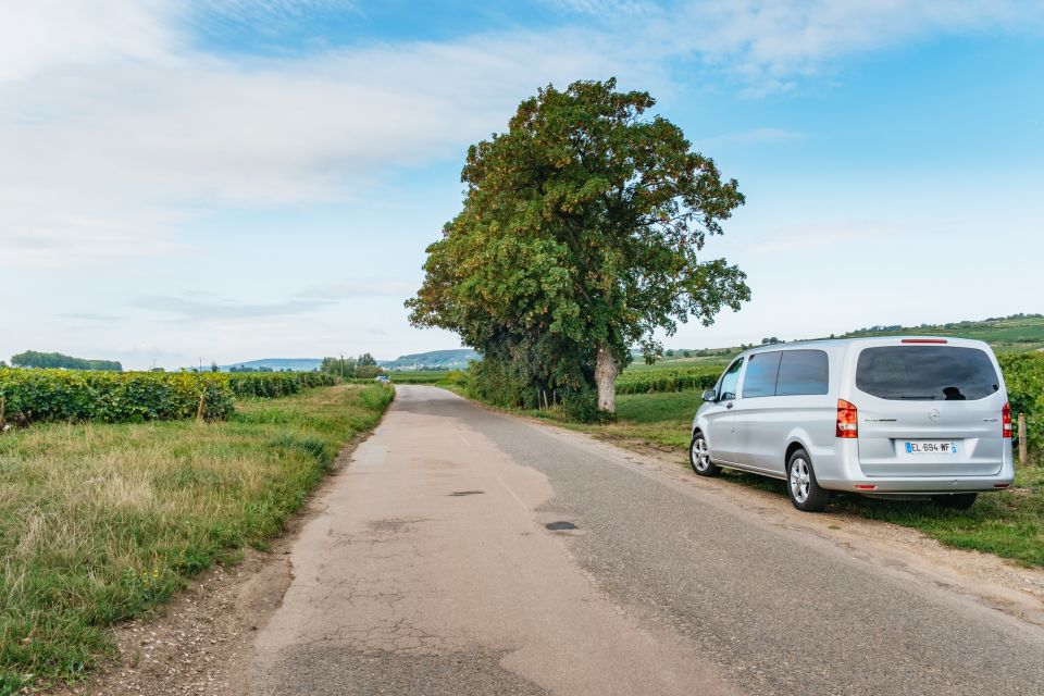 From Beaune: Burgundy Day Trip With 12 Wine Tastings - Learn From Local Wine Expert