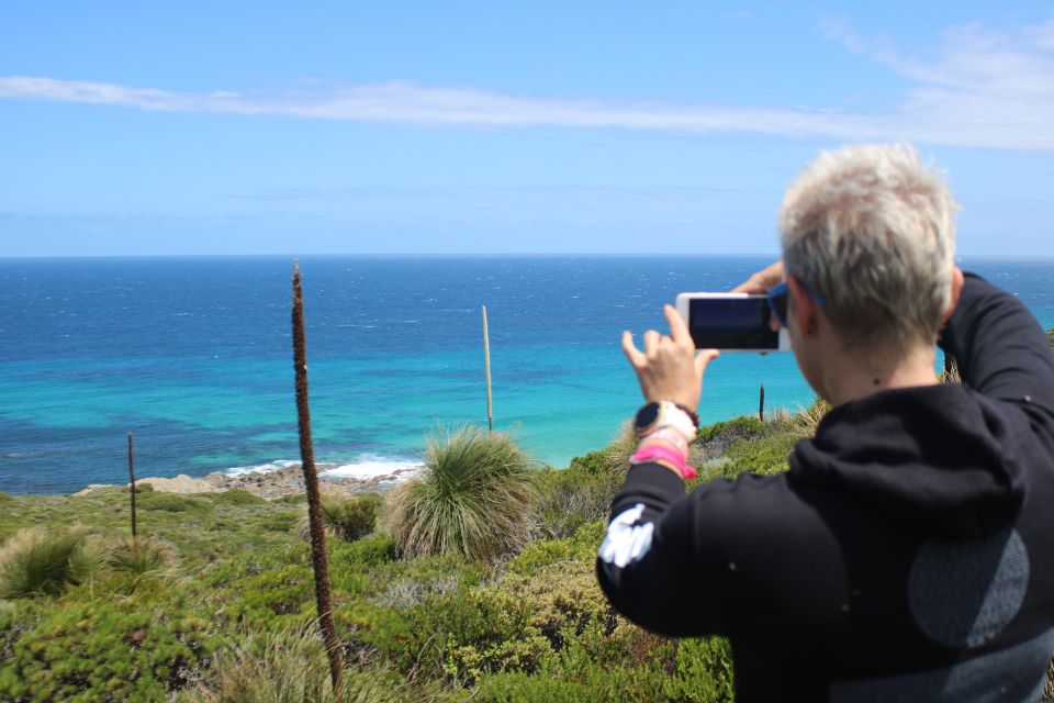 From Busselton: Half-Day Coastal and Wildlife Eco Tour - Last Words