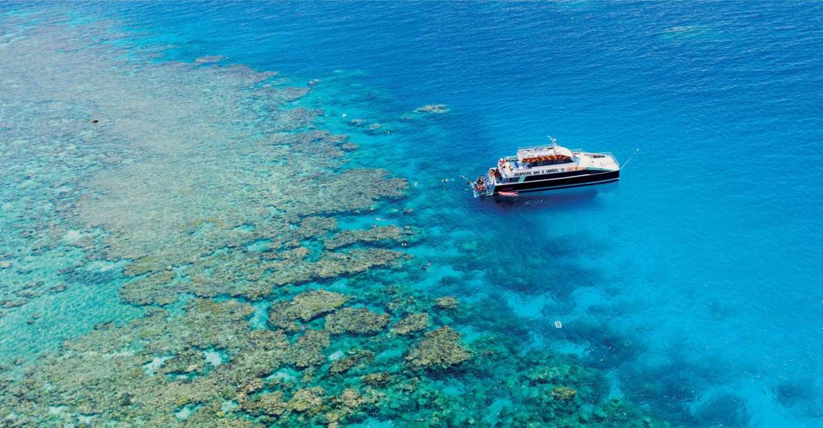 From Cairns: Great Barrier Reef Snorkeling Trip With Lunch - Common questions