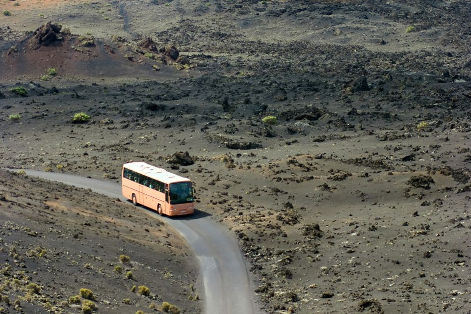 From Fuerteventura: Lanzarote Volcano and Wine Region Tour - Last Words