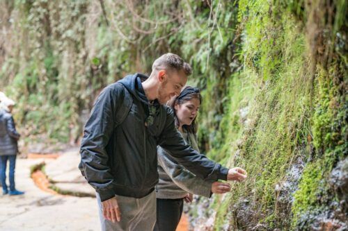 From Granada: Alpujarra Villages Guided Day Tour - Common questions