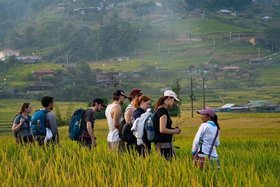 From Hanoi: 3-Day Sapa Trekking Trip With Meals and Homestay - Last Words