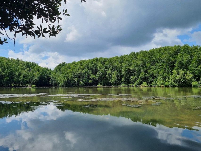 From Ho Chi Minh: Can Gio Mangrove Forest & Monkey Island - Last Words