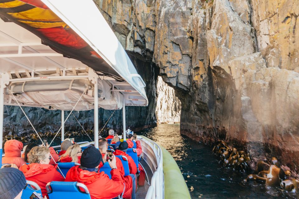 From Hobart/Adventure Bay: Bruny Island Wilderness Cruise - Common questions