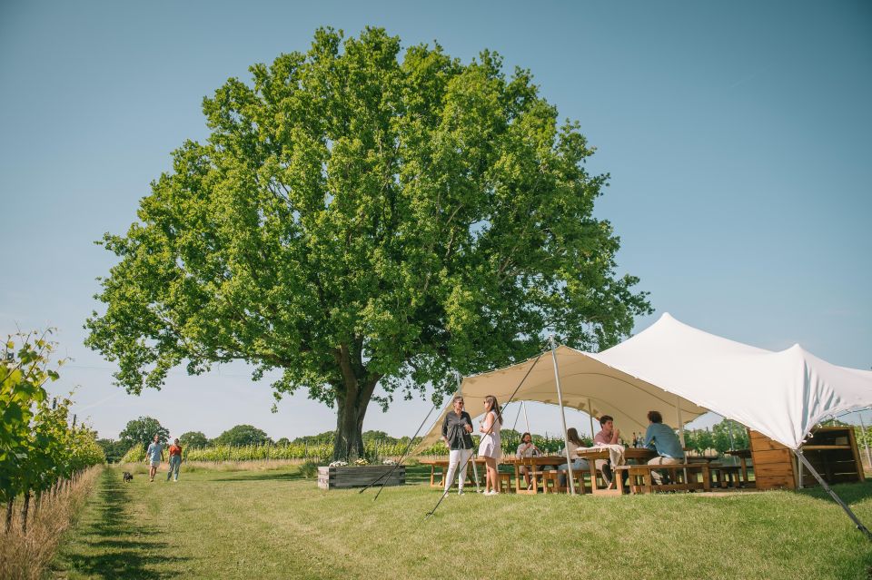 From London: Wine Tasting in the Garden of England - Last Words