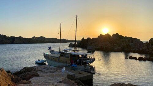 From Palau: Boat Sunset Tour to La Maddalena Archipelago - Last Words