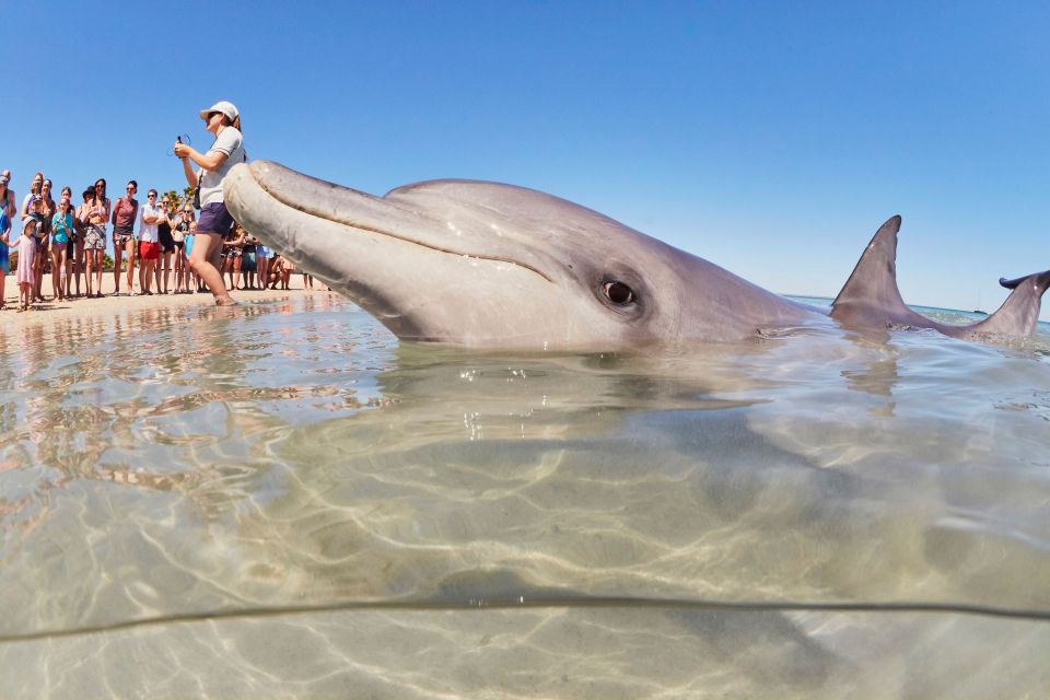 From Perth: 4 Day Outback & Coastal Tour With German Guide - Last Words