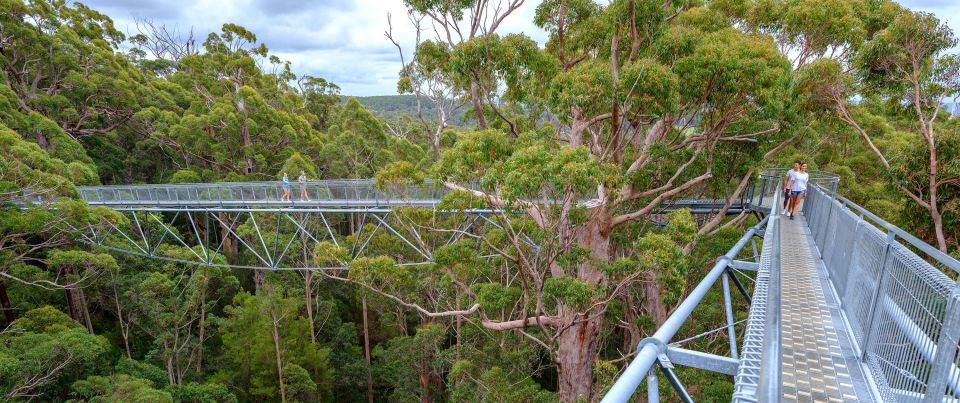 From Perth: Albany, Tree Top Walk & Wave Rock 3-Day Tour - Last Words