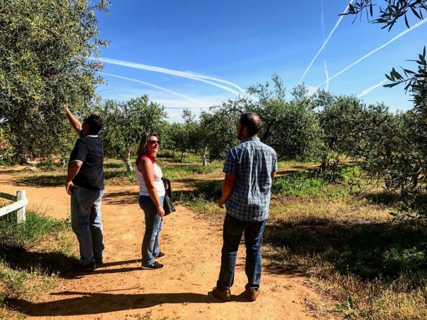 From Seville: Olive Oil Farm Tour - Common questions