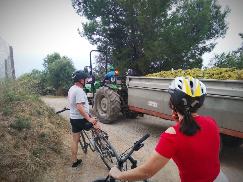 From Sitges: Cycling Tour With Winery Visit and Tasting - Common questions