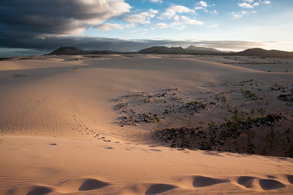 Fuerteventura: Dune Buggy Tour in Northern Fuerteventura - Last Words