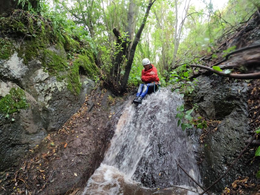 Gran Canaria: Rainforest Canyoning Tour With Gear and Snack - Last Words