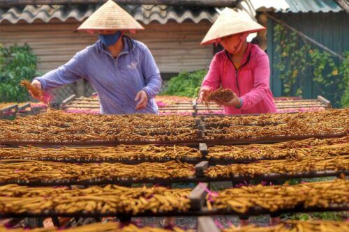 Ha Noi Traditional Craft & Ancient Village Private Tour - Common questions