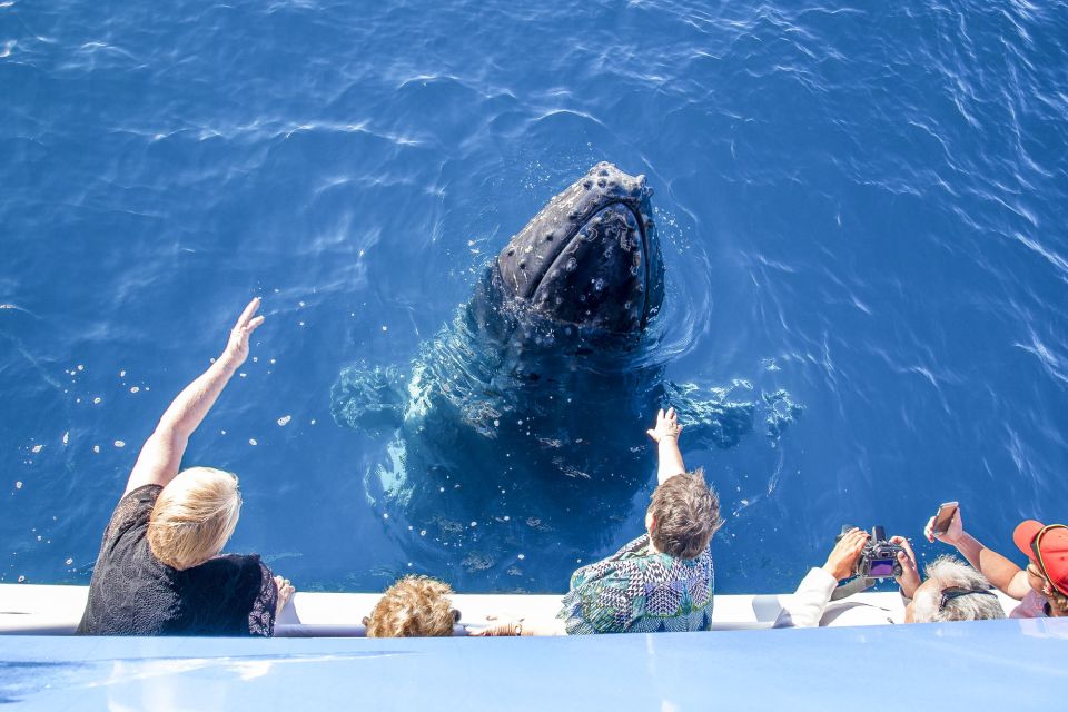 Hervey Bay 4-Hour Whale Watch Encounter - Common questions