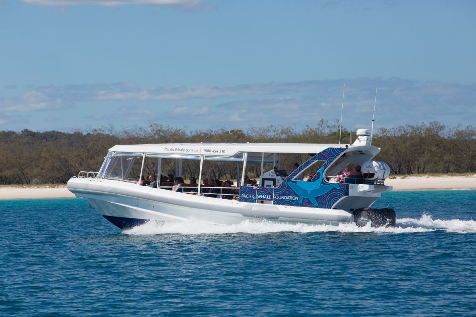 Hervey Bay: Ultimate Whale Watching Experience - Common questions
