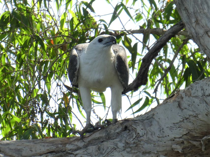 Kakadu National Park, 4WD, 4-6 Guests Only, Day Trip W/Lunch - Last Words