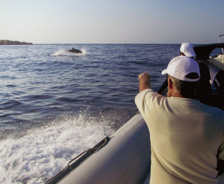 Kamiros Skala : Marine Life Experience & Alimia Island - Last Words