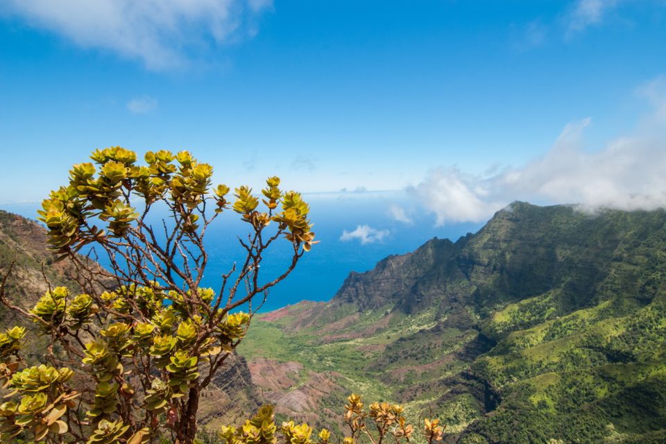 Kauai: Island Highlights Self-Guided Audio Driving Tour - Last Words