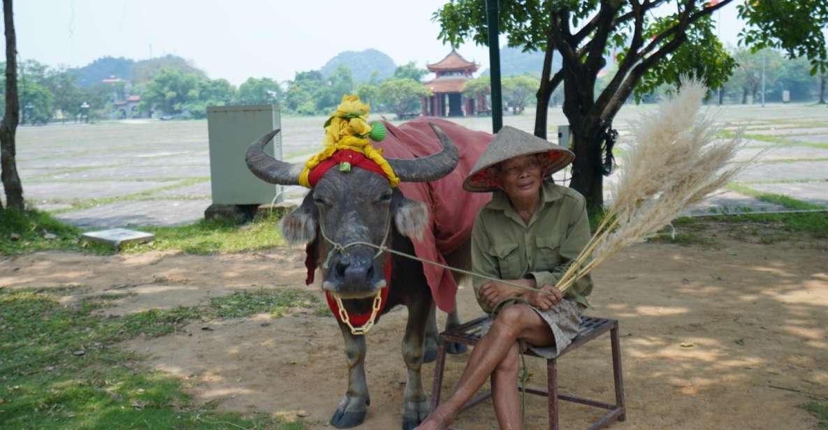 Local Farmer Riding Buffalo - Hoa Lu - Tam Coc Boating Tour - Last Words