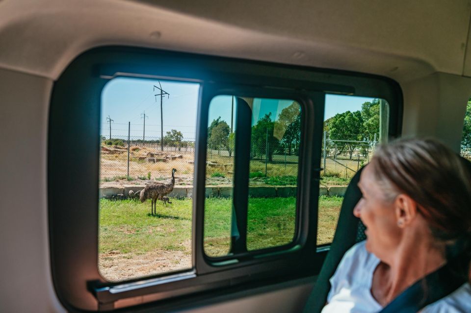 Longreach History and Town Tour - Last Words