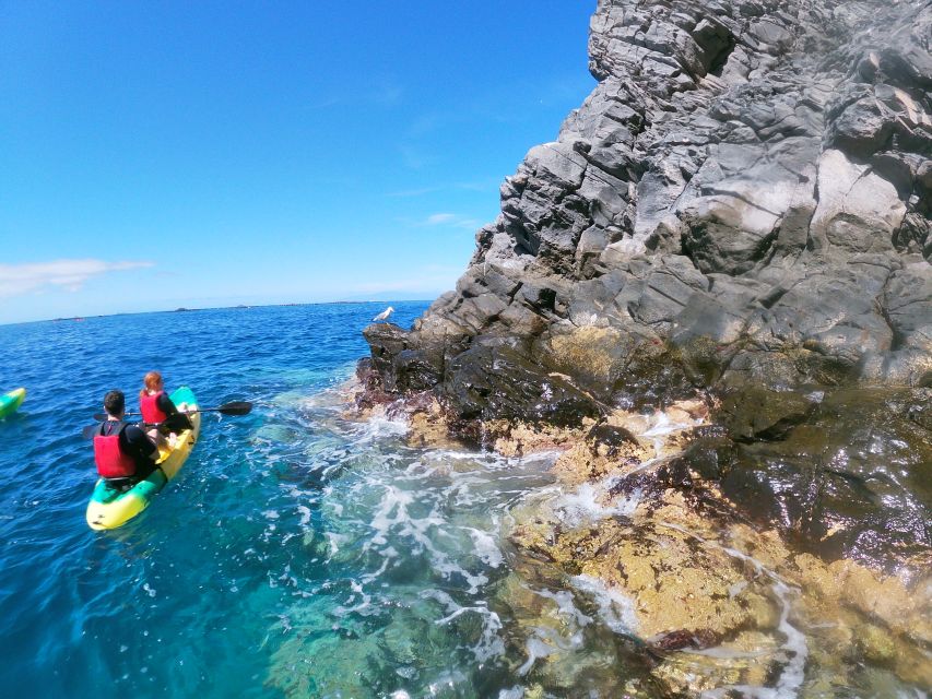 Los Cristianos: Kayak and Snorkel With Turtles - Last Words