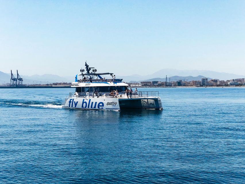 Malaga: Catamaran Cruise With Optional Swimming Stop - Last Words