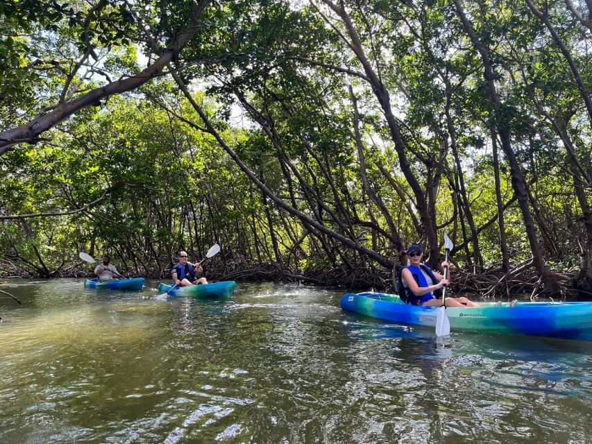 Marco Island: Kayak Mangrove Ecotour in Rookery Bay Reserve - Common questions