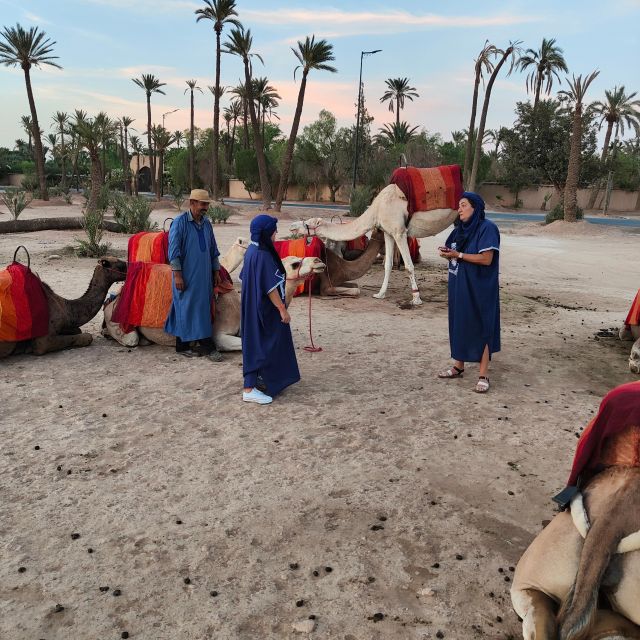 Marrakech: Camel Ride in the Palm Grove - Last Words