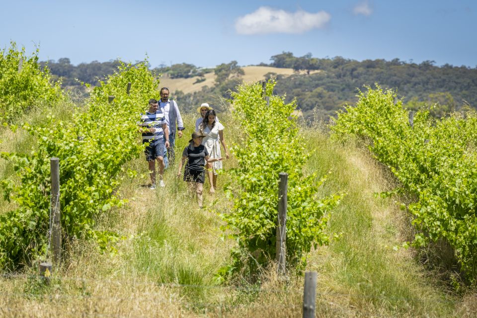 McLaren Vale: Private Gemtree Wines Biodynamic Winery Tour - Common questions