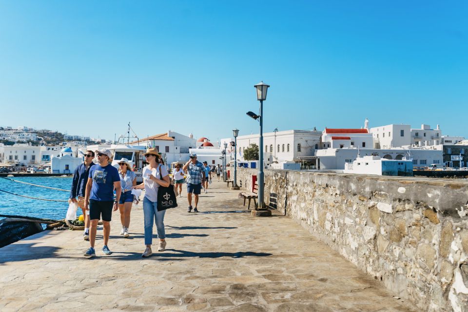 Mykonos Town: Archaeological Site of Delos Guided Day Trip - Last Words