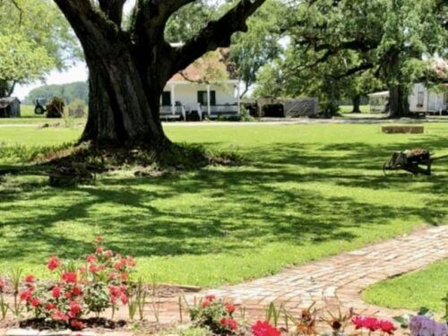 New Orleans: St. Joseph Plantation Guided Tour - Common questions