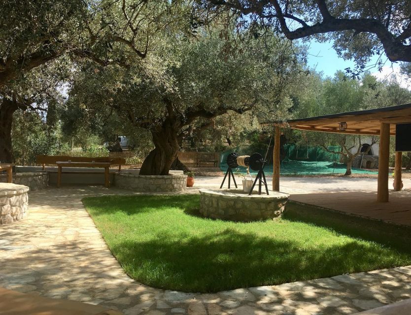 Olive Grove Tour & Olive Oil Tasting and Lunch in Messinia - Last Words