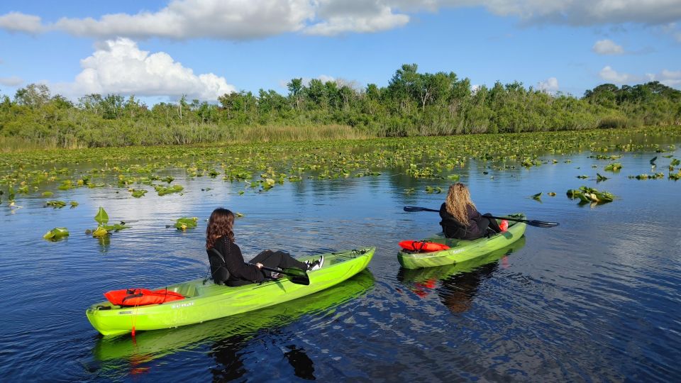 Orlando: Sunset Guided Kayaking Tour - Last Words