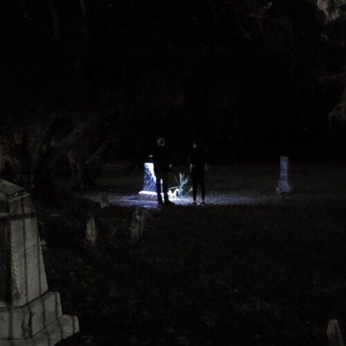 Palmetto: Haunted History Guided Walking Tour - Common questions