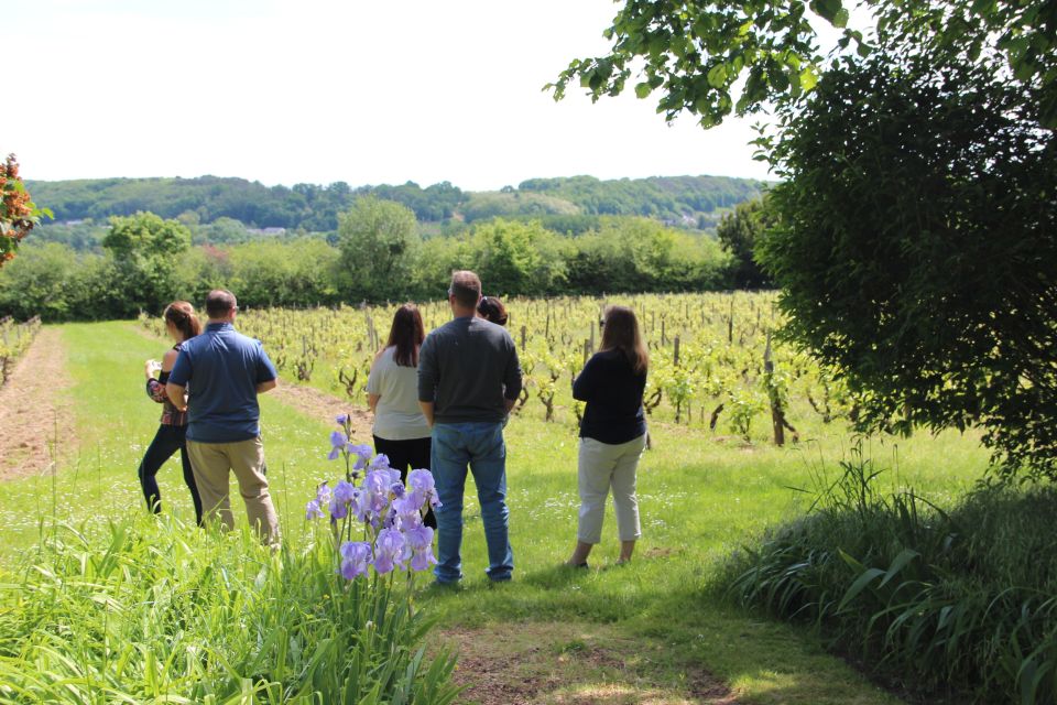 Paris: Loire Valley Chambord Castle, Wine Tasting & Lunch - Common questions