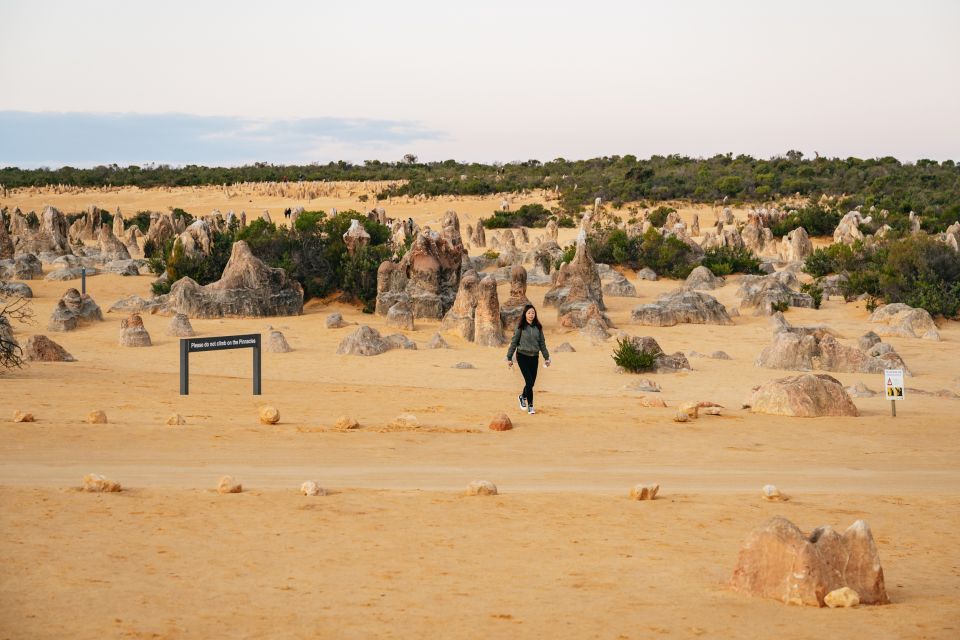 Perth: Pinnacle Desert Sunset and Stargazing With Dinner - Last Words