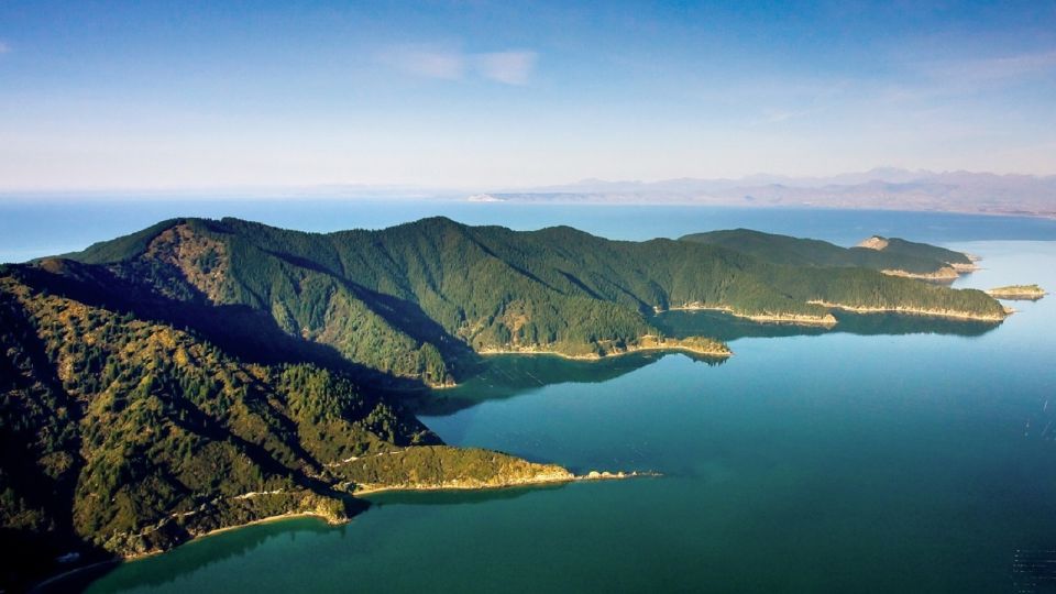 Picton and Marlborough Sounds: Seafood Odyssea Cruise - Last Words