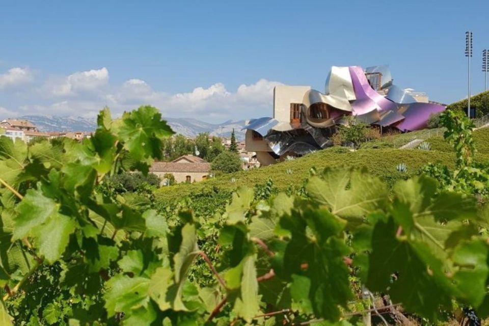 Premium Wine Tour of Rioja With Gourmet Lunch (From Bilbao) - Common questions