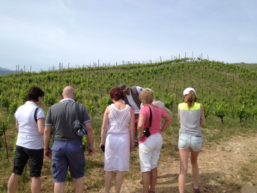 Private Exclusive Manousakis Winery and Vineyard Tour - Last Words