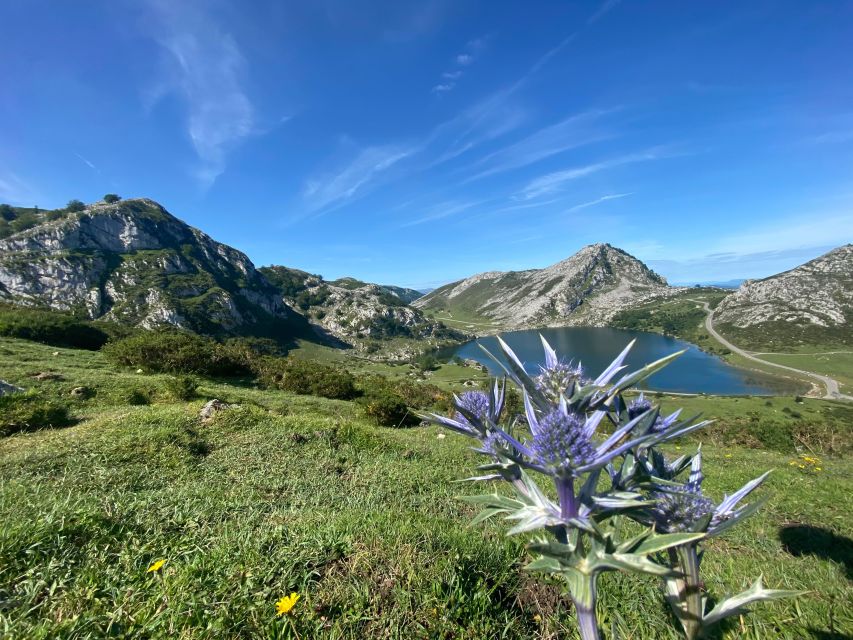 Private Tour Northern Spain 10 Days - Day 3: Discover San Sebastian