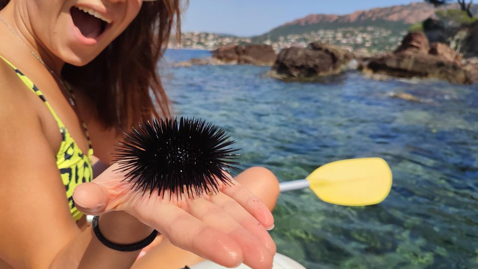 Red Rocks of Agay, Esterel Kayak Guided Visit - Common questions