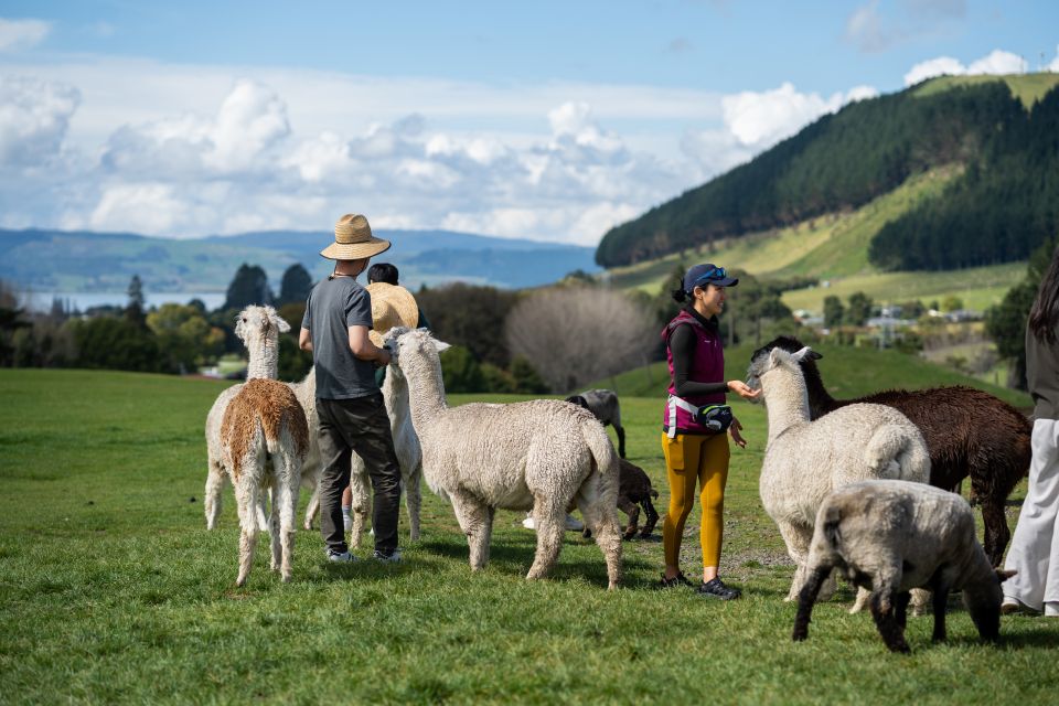 Rotorua: Agrodome Farm Tour With Show and Produce Tasting - Last Words