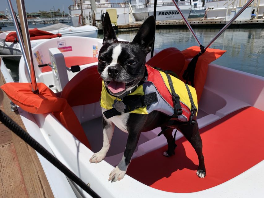 San Diego Bay: Eco-Pedal Boat Rental - Common questions