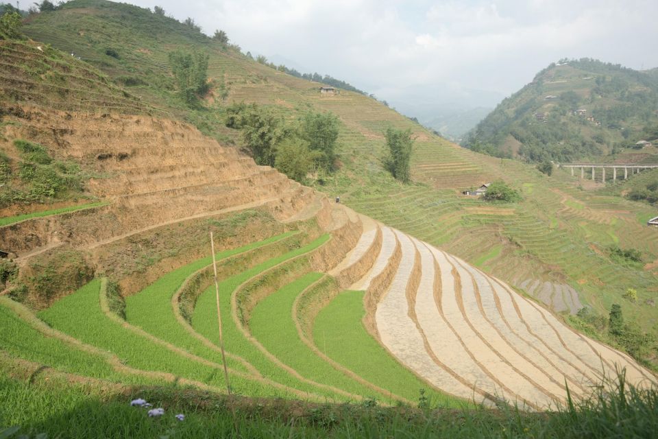 Sapa Half Day Hard Trekking Villages Trip With Lunch & Guide - Last Words