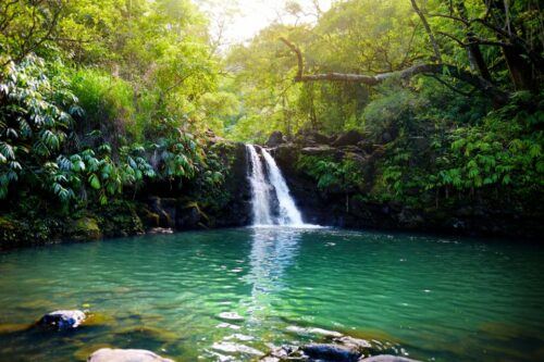 South Maui: Beach Parks Self-Guided Driving Tour - Common questions