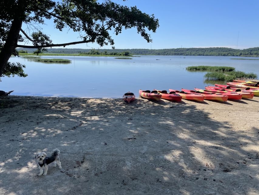 Starved Rock State Park: Guided Kayaking Tour - Last Words