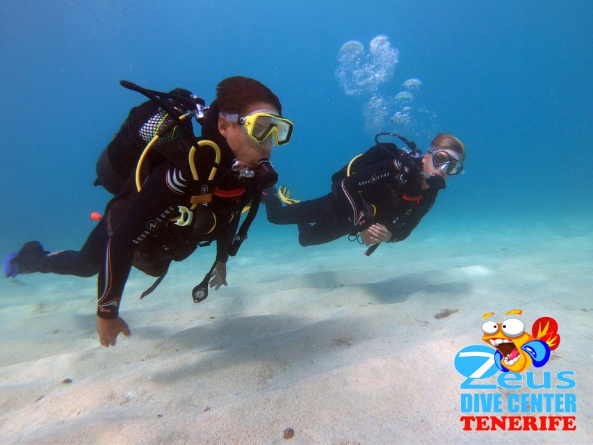 Tenerife: Abades Beach Beginner Diving Experience - Last Words