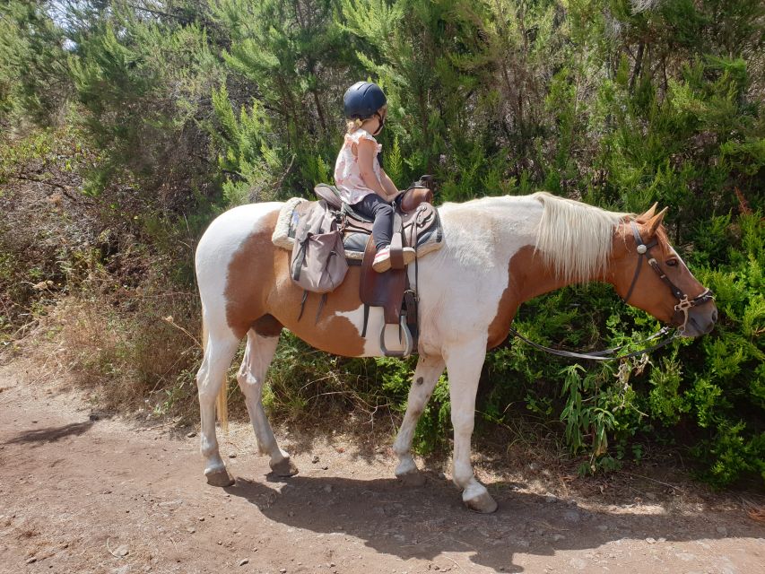 Tenerife: Guided Horseback Riding Tour to the Lomo Forest - Common questions