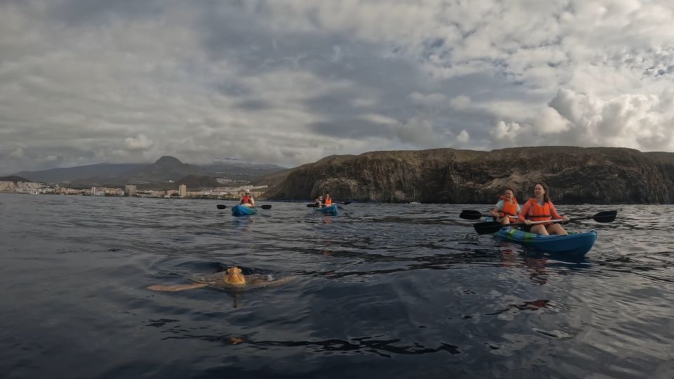Tenerife: Kayak and Snorkel With Turtles - Last Words