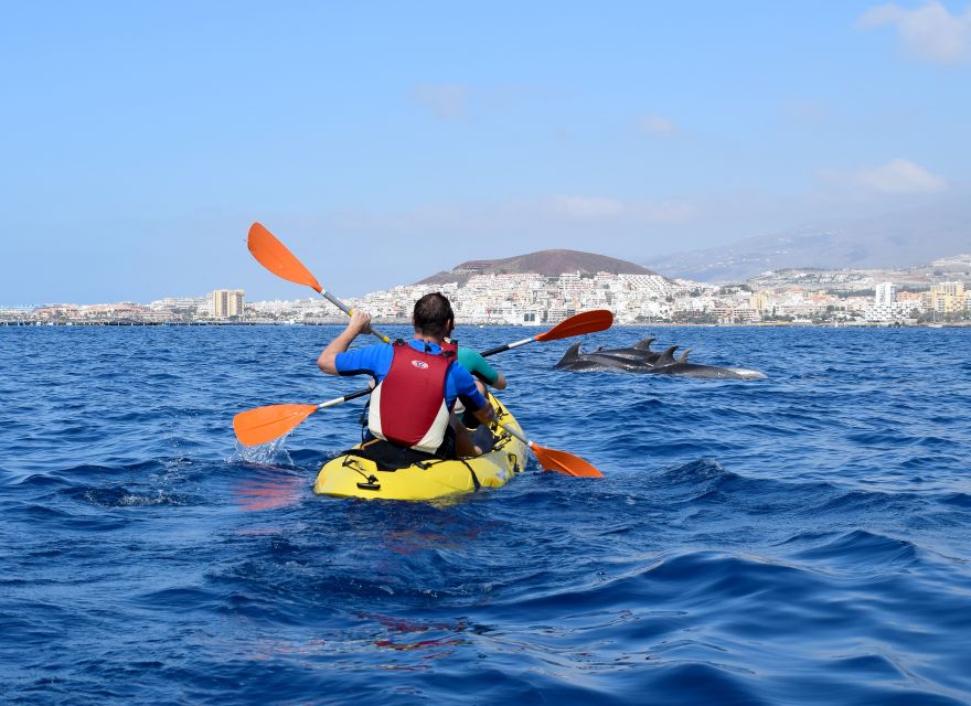 Tenerife: Kayaking and Snorkeling With Turtles - Common questions